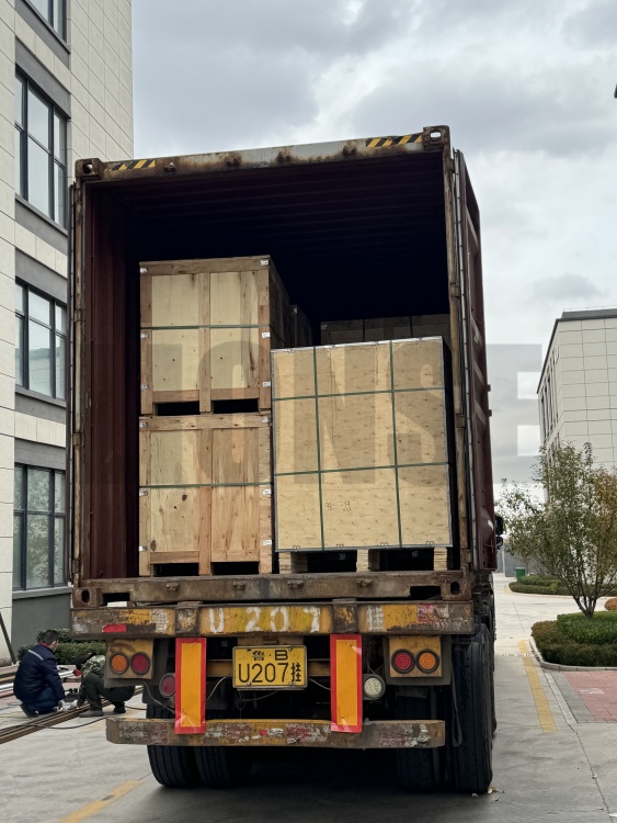 LIONSE - Günlük Gönderi Operasyonları